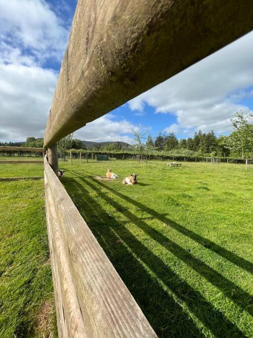 Herdmans Hideaway Brecon Eksteriør bilde